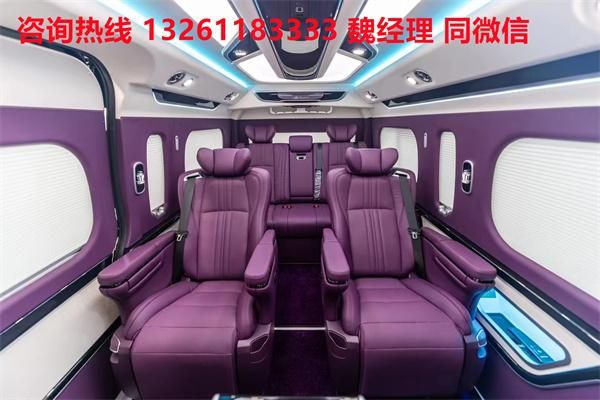 蓝牌MPV 海狮9座大尺寸商务车卖价j9九游真人游戏第一平台进口丰田海狮(图1)
