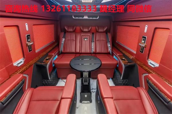 蓝牌MPV 海狮9座大尺寸商务车卖价j9九游真人游戏第一平台进口丰田海狮(图5)