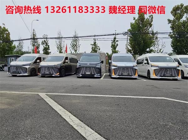 蓝牌MPV 海狮9座大尺寸商务车卖价j9九游真人游戏第一平台进口丰田海狮(图3)