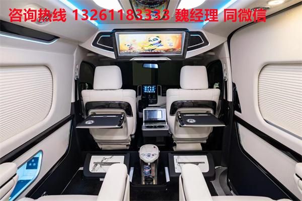 蓝牌MPV 海狮9座大尺寸商务车卖价j9九游真人游戏第一平台进口丰田海狮(图4)